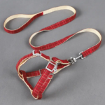 Leash Nylon