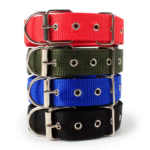 Dog Collar