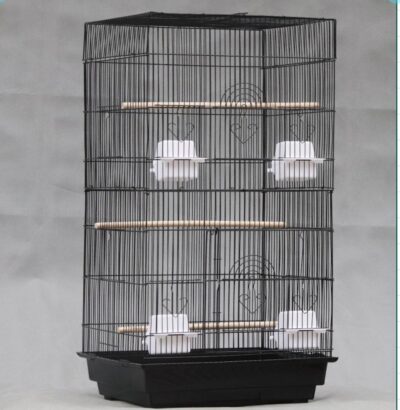 Parrot Cage