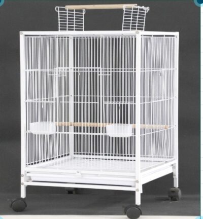 Parrot Cage