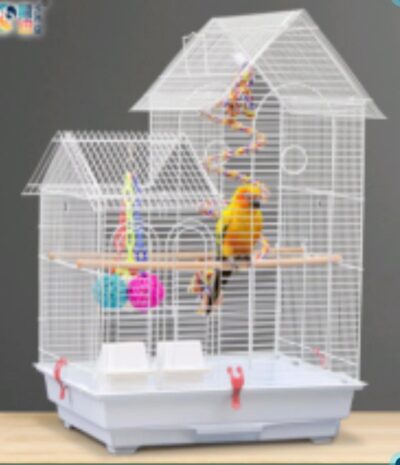 Parrot Cage