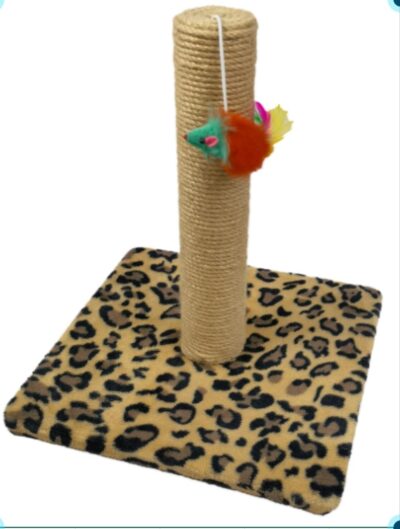 Cat Toys