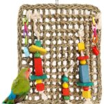 Bird Climbing Chewing Toy