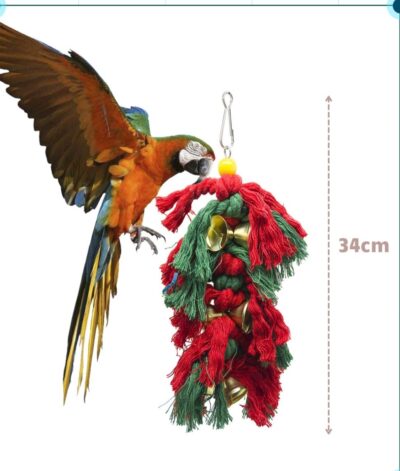 Hanging Bird Chew Toy