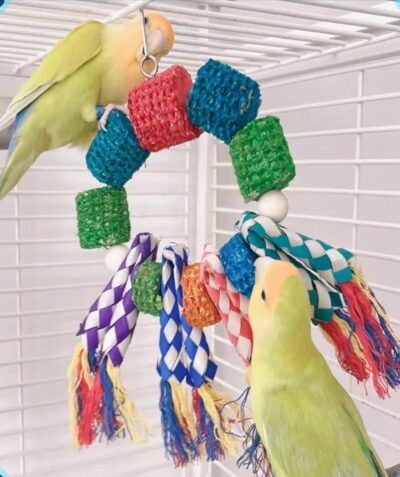 Hanging Bird Chew Toy