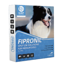 Fipronil for Medium Dogs
