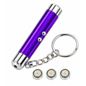 2-in-1 Laser Pointer Cat Toy with LED Flashlight