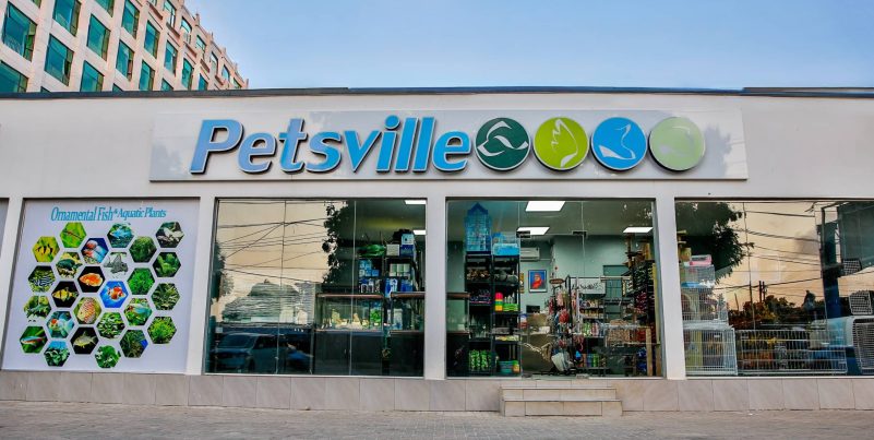 PETSVILLE outdoor4.jpg (1)